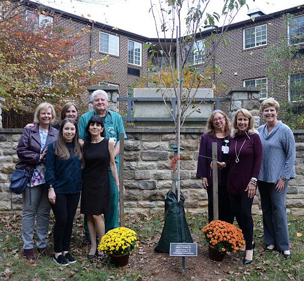Gilchrist volunteers standing next to the tree
